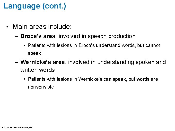 Language (cont. ) • Main areas include: – Broca’s area: involved in speech production Language (cont. ) • Main areas include: – Broca’s area: involved in speech production