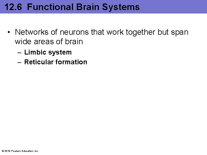 12. 6 Functional Brain Systems • Networks of neurons that work together but span 12. 6 Functional Brain Systems • Networks of neurons that work together but span
