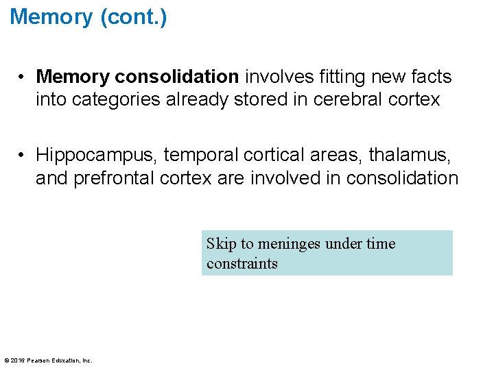 Memory (cont. ) • Memory consolidation involves fitting new facts into categories already stored Memory (cont. ) • Memory consolidation involves fitting new facts into categories already stored