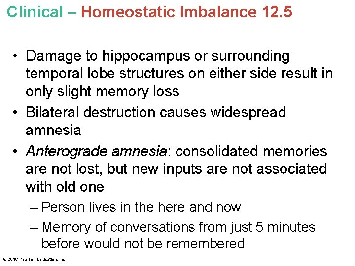Clinical – Homeostatic Imbalance 12. 5 • Damage to hippocampus or surrounding temporal lobe Clinical – Homeostatic Imbalance 12. 5 • Damage to hippocampus or surrounding temporal lobe