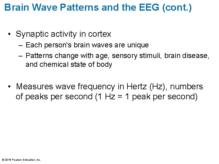 Brain Wave Patterns and the EEG (cont. ) • Synaptic activity in cortex – Brain Wave Patterns and the EEG (cont. ) • Synaptic activity in cortex –