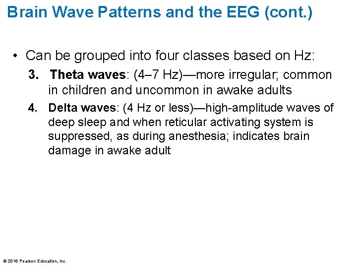 Brain Wave Patterns and the EEG (cont. ) • Can be grouped into four Brain Wave Patterns and the EEG (cont. ) • Can be grouped into four