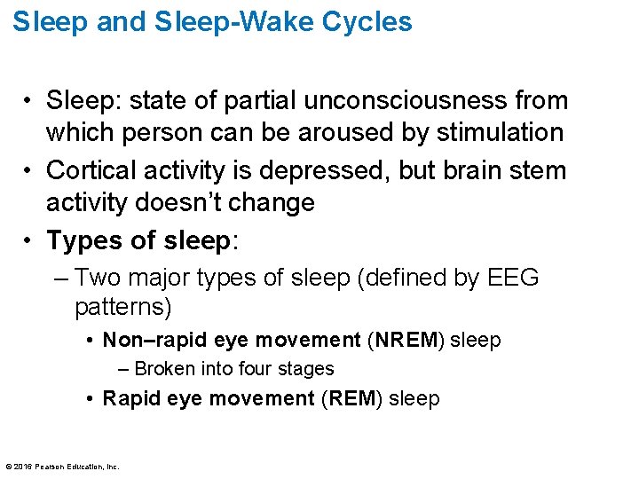 Sleep and Sleep-Wake Cycles • Sleep: state of partial unconsciousness from which person can Sleep and Sleep-Wake Cycles • Sleep: state of partial unconsciousness from which person can