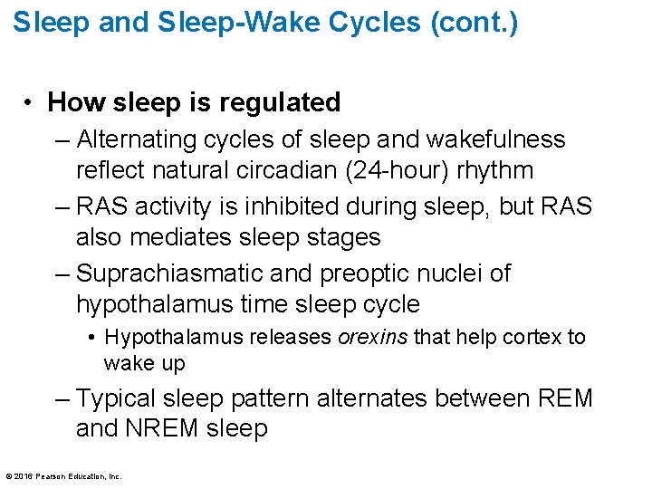 Sleep and Sleep-Wake Cycles (cont. ) • How sleep is regulated – Alternating cycles Sleep and Sleep-Wake Cycles (cont. ) • How sleep is regulated – Alternating cycles