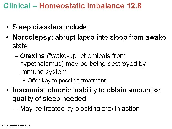 Clinical – Homeostatic Imbalance 12. 8 • Sleep disorders include: • Narcolepsy: abrupt lapse Clinical – Homeostatic Imbalance 12. 8 • Sleep disorders include: • Narcolepsy: abrupt lapse