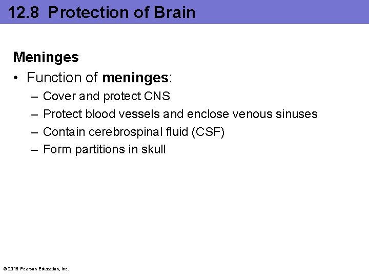 12. 8 Protection of Brain Meninges • Function of meninges: – – Cover and 12. 8 Protection of Brain Meninges • Function of meninges: – – Cover and