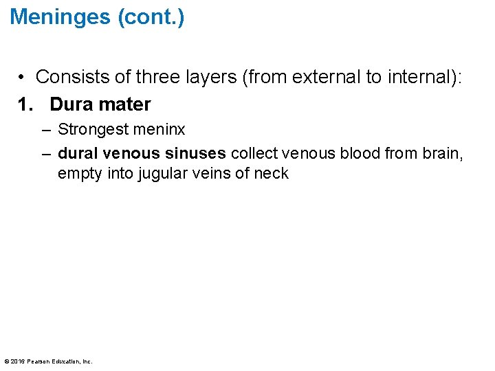 Meninges (cont. ) • Consists of three layers (from external to internal): 1. Dura Meninges (cont. ) • Consists of three layers (from external to internal): 1. Dura