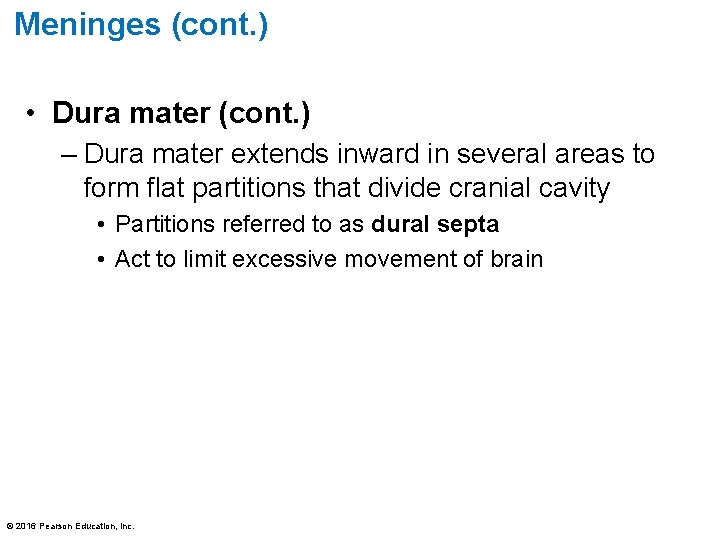 Meninges (cont. ) • Dura mater (cont. ) – Dura mater extends inward in Meninges (cont. ) • Dura mater (cont. ) – Dura mater extends inward in