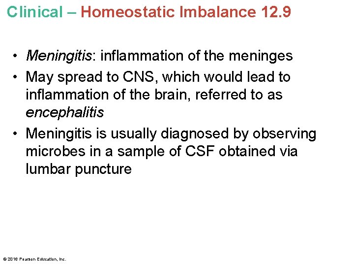 Clinical – Homeostatic Imbalance 12. 9 • Meningitis: inflammation of the meninges • May Clinical – Homeostatic Imbalance 12. 9 • Meningitis: inflammation of the meninges • May