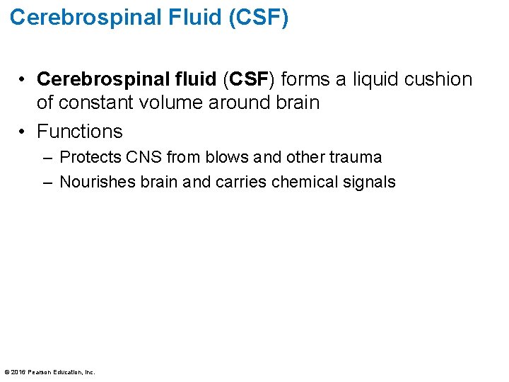 Cerebrospinal Fluid (CSF) • Cerebrospinal fluid (CSF) forms a liquid cushion of constant volume Cerebrospinal Fluid (CSF) • Cerebrospinal fluid (CSF) forms a liquid cushion of constant volume