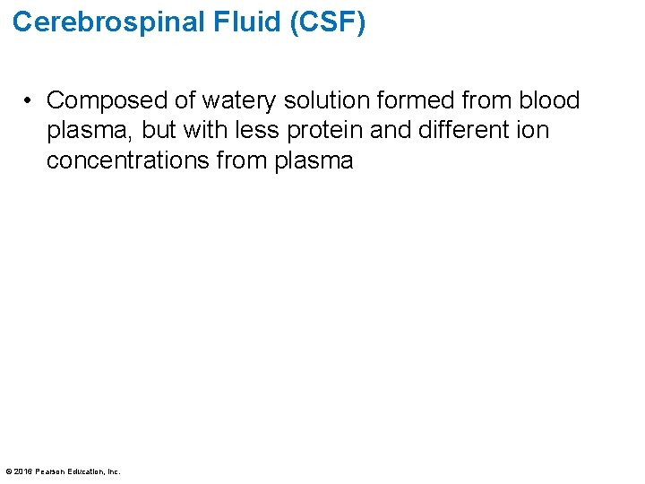Cerebrospinal Fluid (CSF) • Composed of watery solution formed from blood plasma, but with Cerebrospinal Fluid (CSF) • Composed of watery solution formed from blood plasma, but with