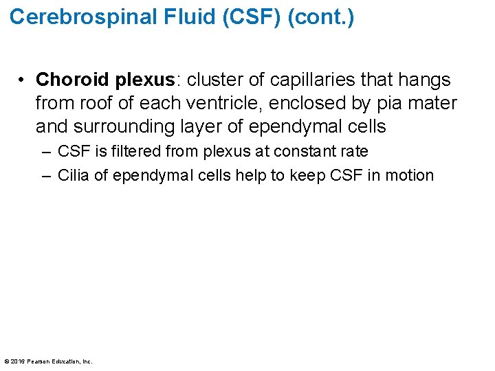 Cerebrospinal Fluid (CSF) (cont. ) • Choroid plexus: cluster of capillaries that hangs from Cerebrospinal Fluid (CSF) (cont. ) • Choroid plexus: cluster of capillaries that hangs from