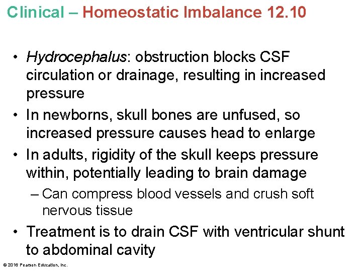 Clinical – Homeostatic Imbalance 12. 10 • Hydrocephalus: obstruction blocks CSF circulation or drainage, Clinical – Homeostatic Imbalance 12. 10 • Hydrocephalus: obstruction blocks CSF circulation or drainage,