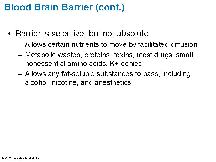Blood Brain Barrier (cont. ) • Barrier is selective, but not absolute – Allows Blood Brain Barrier (cont. ) • Barrier is selective, but not absolute – Allows