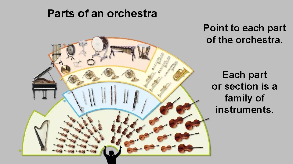 Parts of an orchestra Point to each part of the orchestra. Each part or