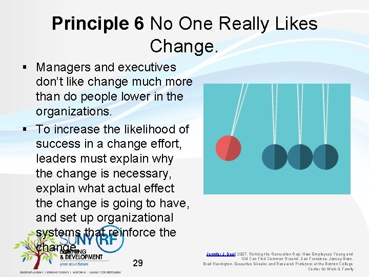 Principle 6 No One Really Likes Change. § Managers and executives don’t like change