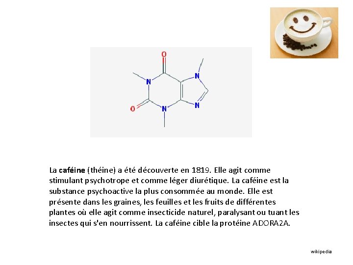 La caféine (théine) a été découverte en 1819. Elle agit comme stimulant psychotrope et