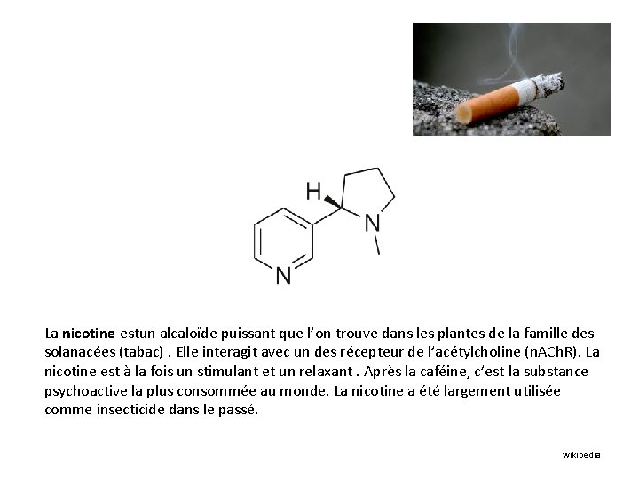 La nicotine estun alcaloïde puissant que l’on trouve dans les plantes de la famille