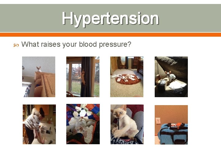 Hypertension What raises your blood pressure? 