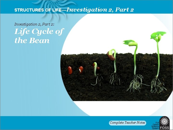 STRUCTURES OF LIFE—Investigation 2, Part 2: Life Cycle of the Bean Complete Teacher Notes