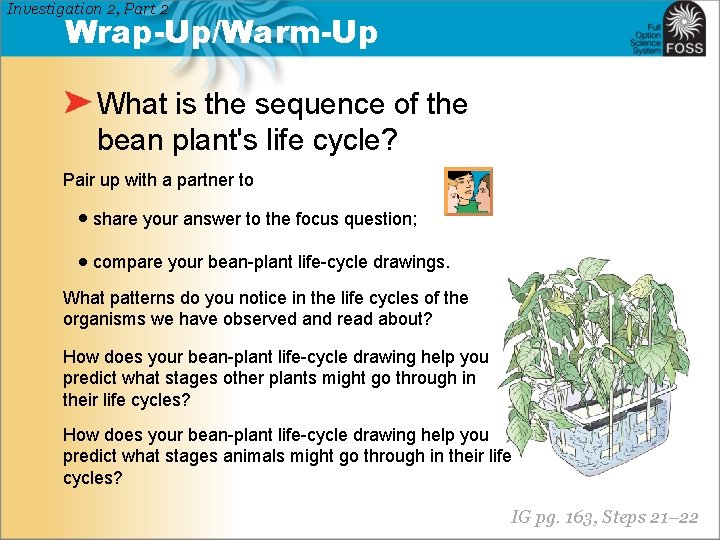 Investigation 2, Part 2 Wrap-Up/Warm-Up What is the sequence of the bean plant's life