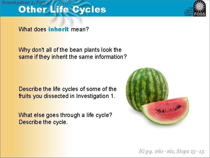 Investigation 2, Part 2 Other Life Cycles What does inherit mean? Why don't all