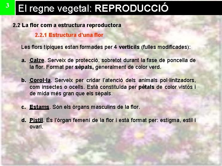 3 El regne vegetal: REPRODUCCIÓ 2. 2 La flor com a estructura reproductora 2.