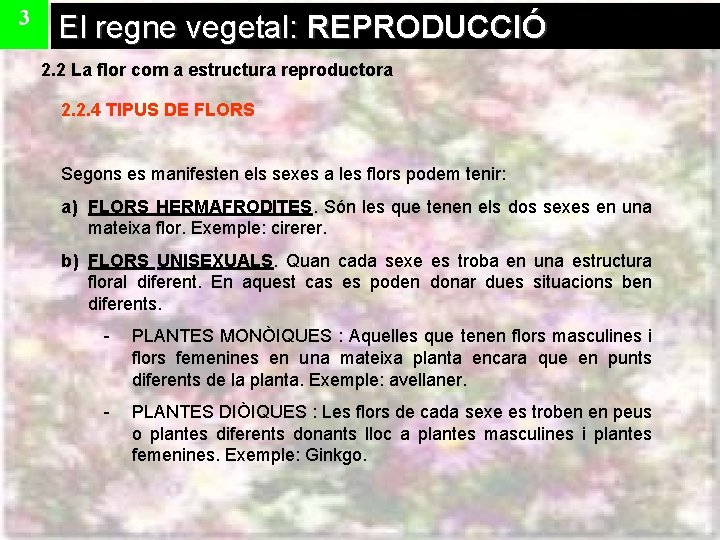 3 El regne vegetal: REPRODUCCIÓ 2. 2 La flor com a estructura reproductora 2.