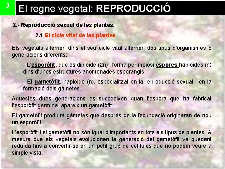 3 El regne vegetal: REPRODUCCIÓ 2. - Reproducció sexual de les plantes. 2. 1