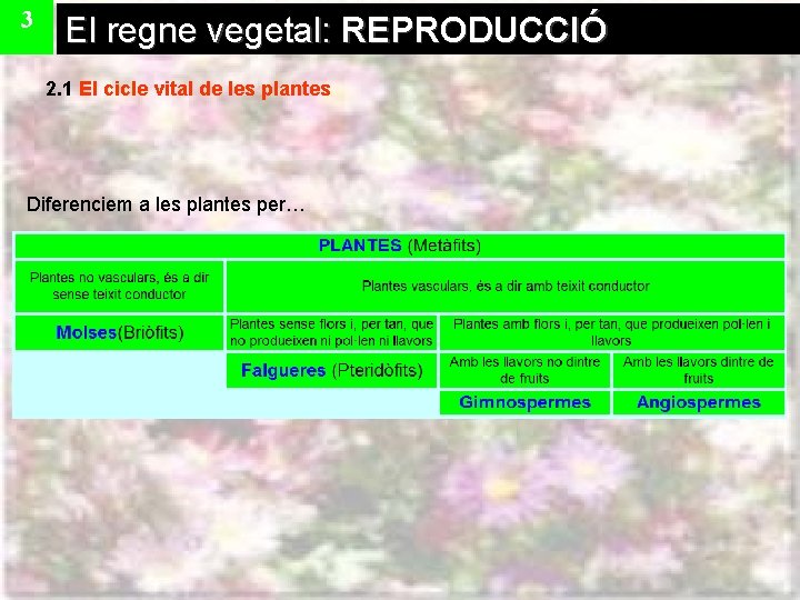 3 El regne vegetal: REPRODUCCIÓ 2. 1 El cicle vital de les plantes Diferenciem