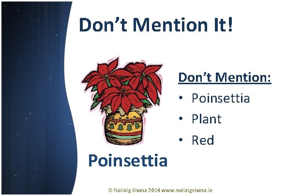 Don’t Mention It! Poinsettia Don’t Mention: • Poinsettia • Plant • Red © Nollaig