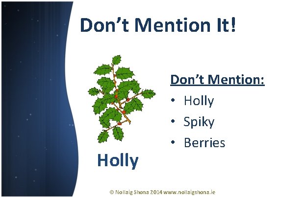 Don’t Mention It! Holly Don’t Mention: • Holly • Spiky • Berries © Nollaig