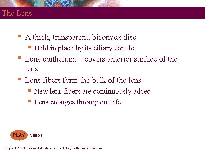 The Lens § A thick, transparent, biconvex disc § Held in place by its