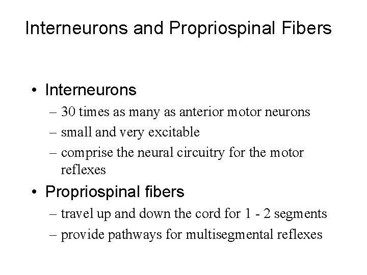 Interneurons and Propriospinal Fibers • Interneurons – 30 times as many as anterior motor