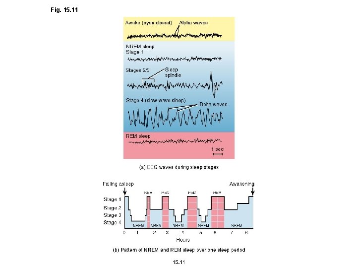 Fig. 15. 11 