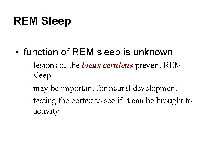 REM Sleep • function of REM sleep is unknown – lesions of the locus