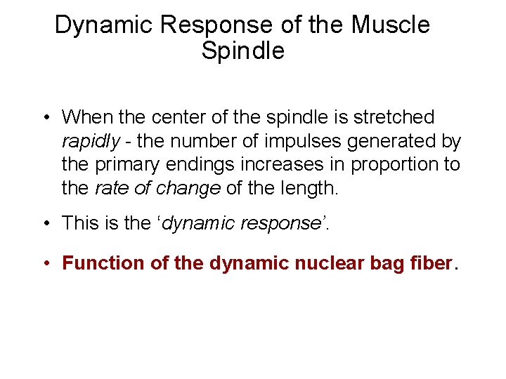 Dynamic Response of the Muscle Spindle • When the center of the spindle is