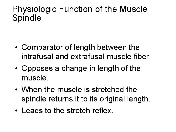 Physiologic Function of the Muscle Spindle • Comparator of length between the intrafusal and