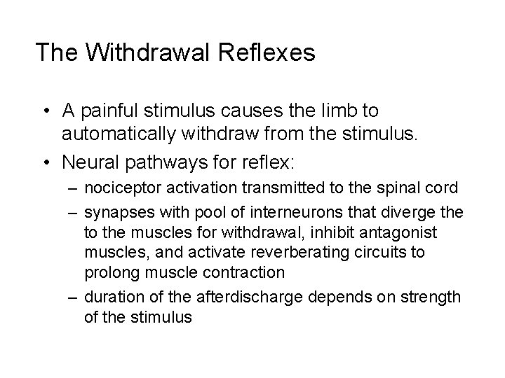 The Withdrawal Reflexes • A painful stimulus causes the limb to automatically withdraw from