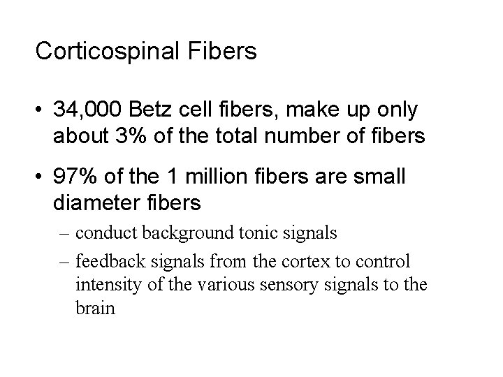 Corticospinal Fibers • 34, 000 Betz cell fibers, make up only about 3% of