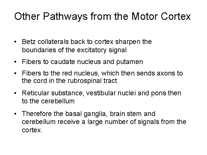 Other Pathways from the Motor Cortex • Betz collaterals back to cortex sharpen the