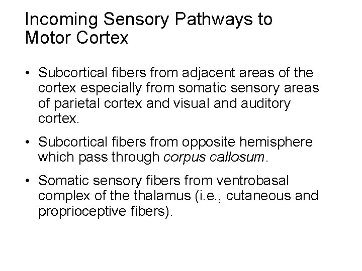 Incoming Sensory Pathways to Motor Cortex • Subcortical fibers from adjacent areas of the