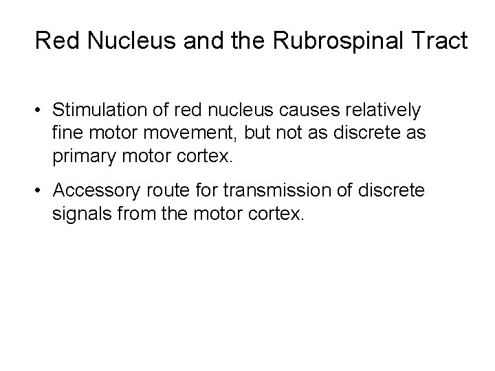 Red Nucleus and the Rubrospinal Tract • Stimulation of red nucleus causes relatively fine