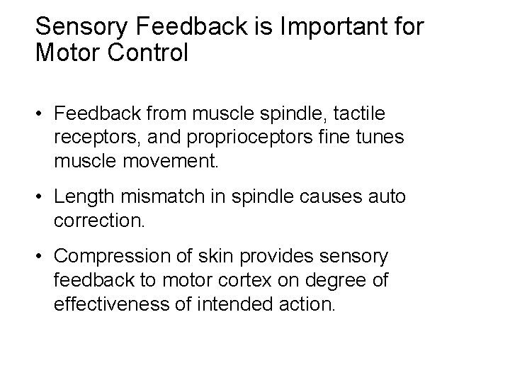 Sensory Feedback is Important for Motor Control • Feedback from muscle spindle, tactile receptors,