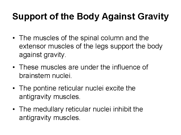 Support of the Body Against Gravity • The muscles of the spinal column and