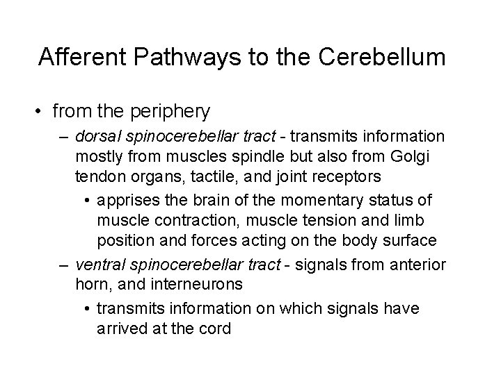 Afferent Pathways to the Cerebellum • from the periphery – dorsal spinocerebellar tract -