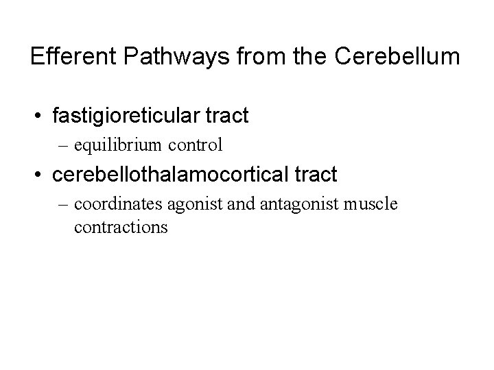 Efferent Pathways from the Cerebellum • fastigioreticular tract – equilibrium control • cerebellothalamocortical tract