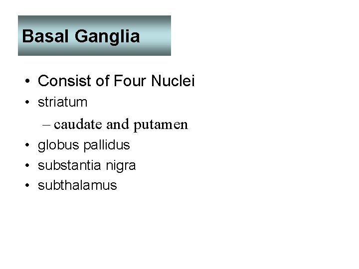 Basal Ganglia • Consist of Four Nuclei • striatum – caudate and putamen •