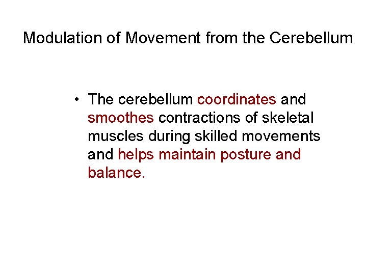 Modulation of Movement from the Cerebellum • The cerebellum coordinates and smoothes contractions of