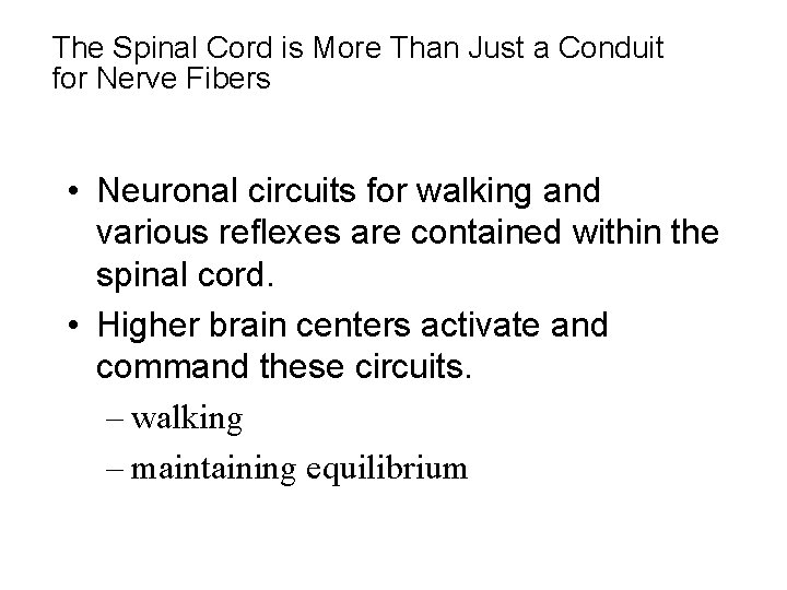 The Spinal Cord is More Than Just a Conduit for Nerve Fibers • Neuronal